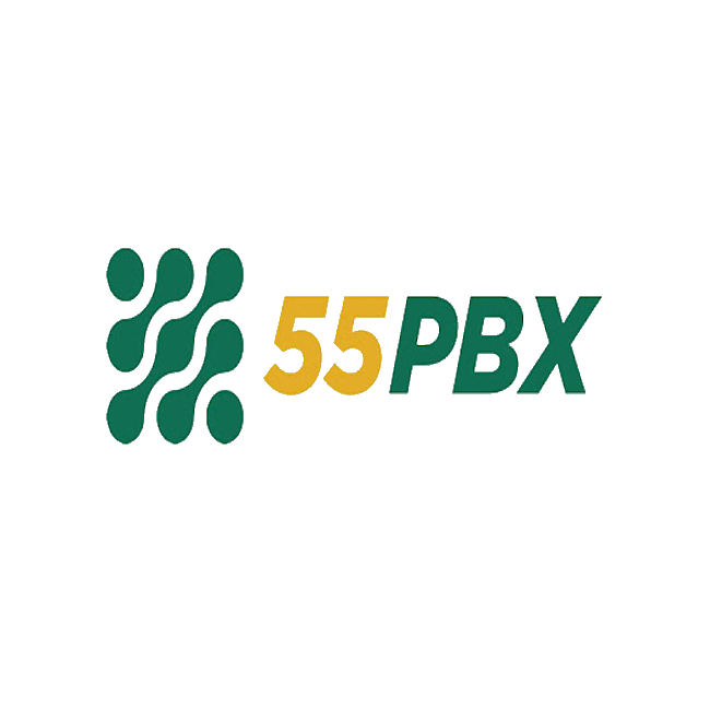 dashboard 55PBX