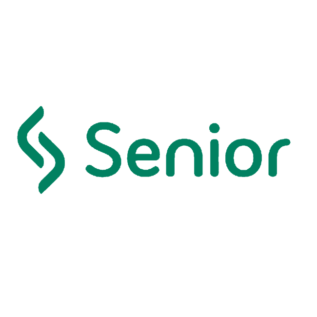 dashboard Senior